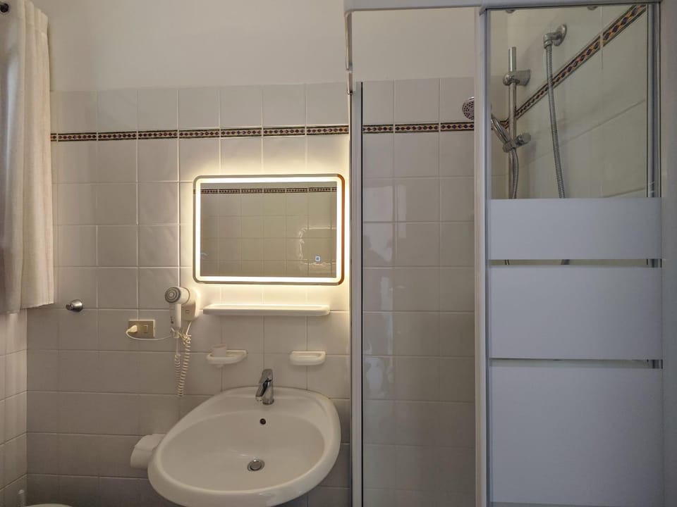 Shower, Toilet, Bathroom, bidet
