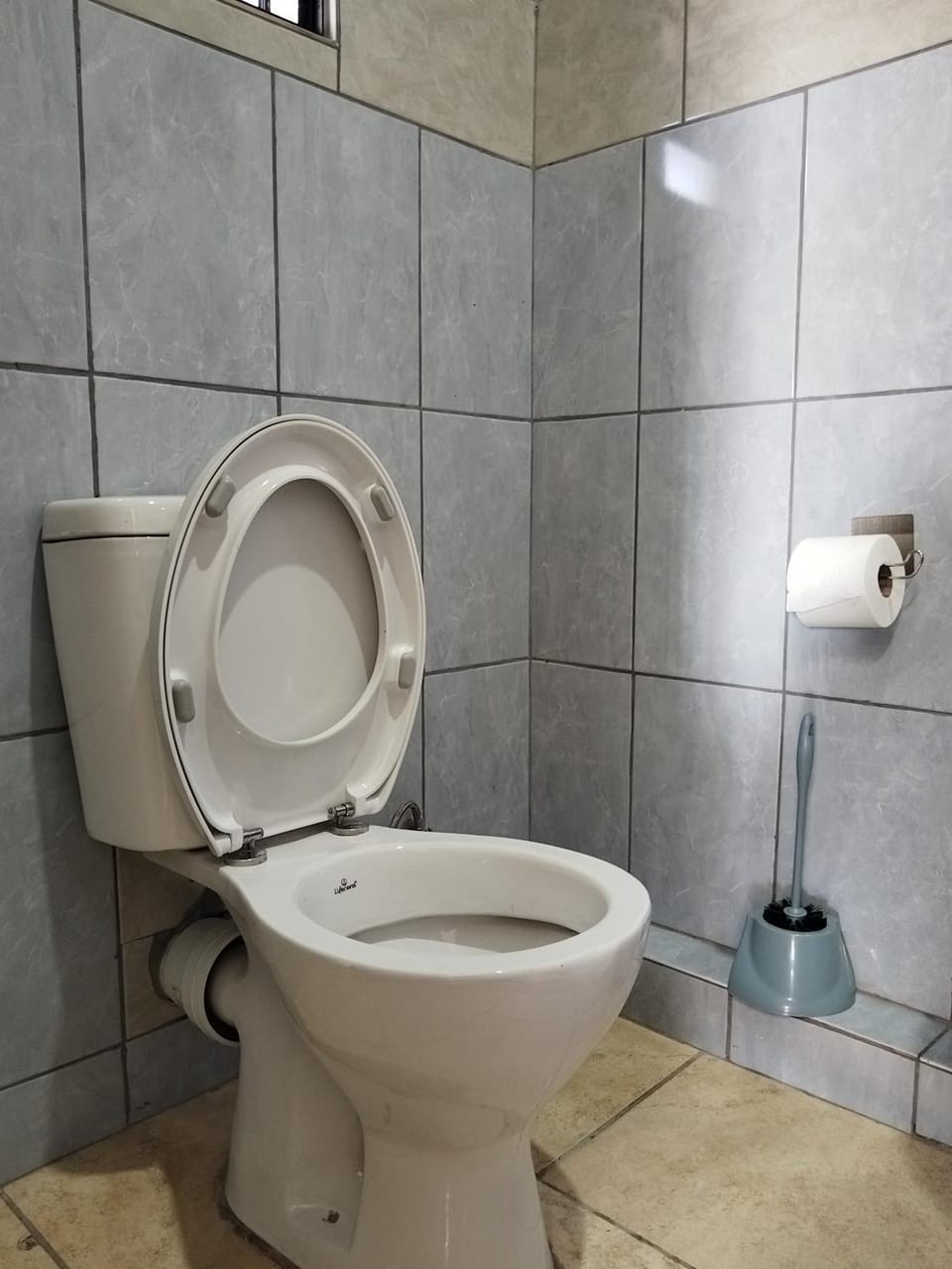 Toilet, Bathroom, bidet