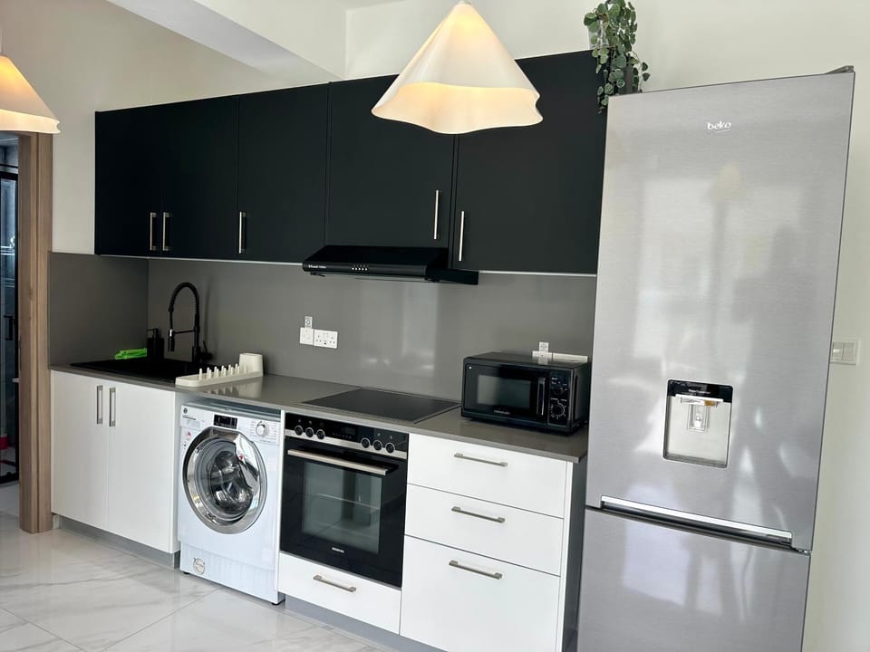 Kitchen or kitchenette, oven, stove, washing machine