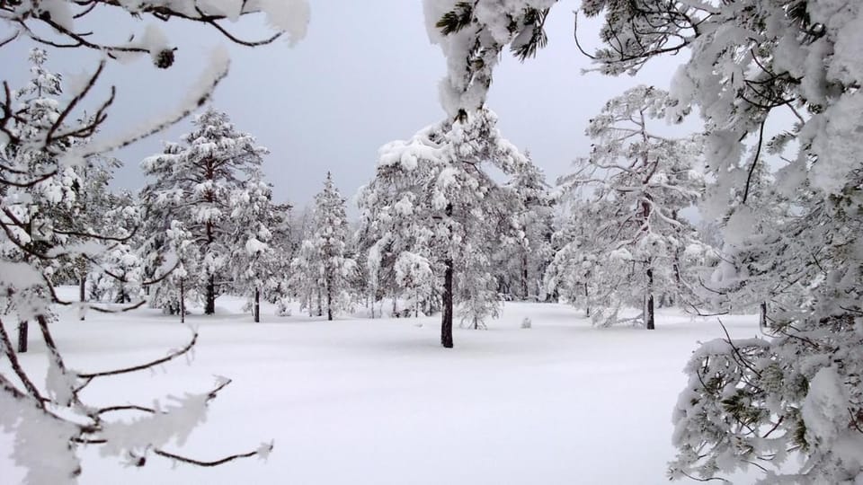 Hytte i Nordlige Varmland ved Branas Chalet in Sweden