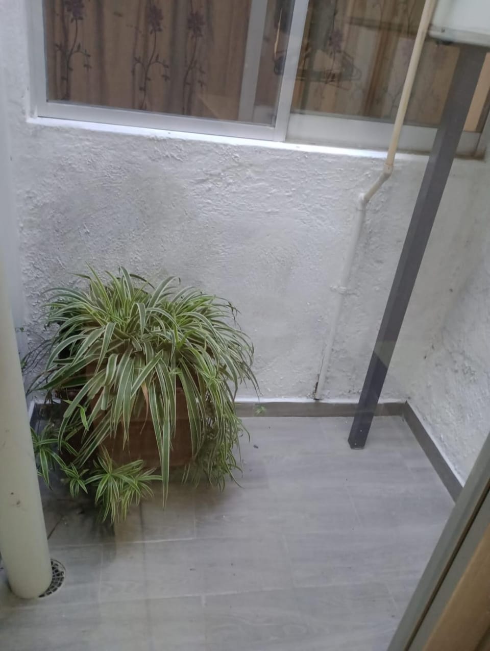 Departamento el REPOSO Apartment in Guadalajara