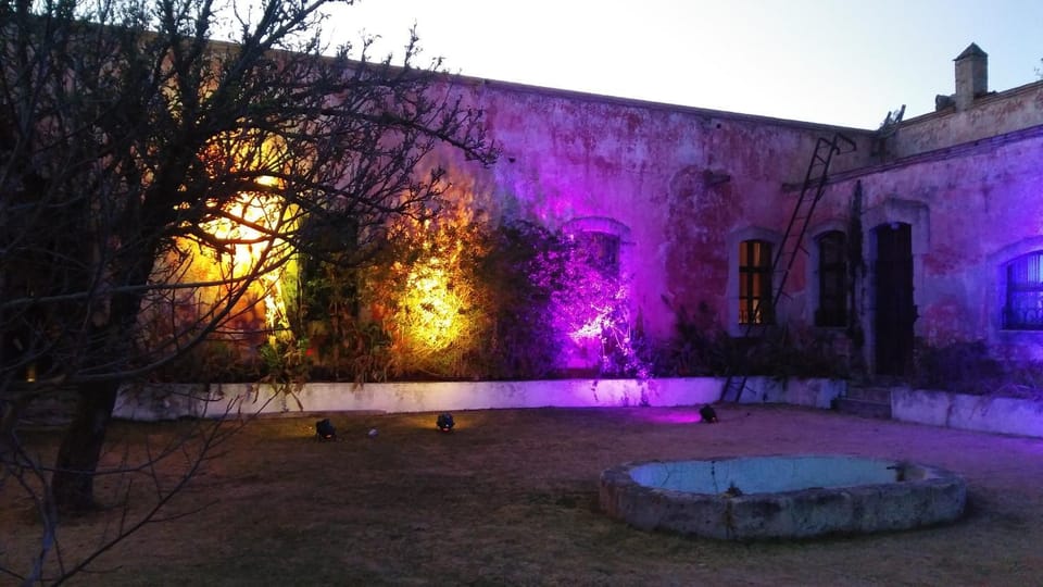 Night, Garden, Garden view