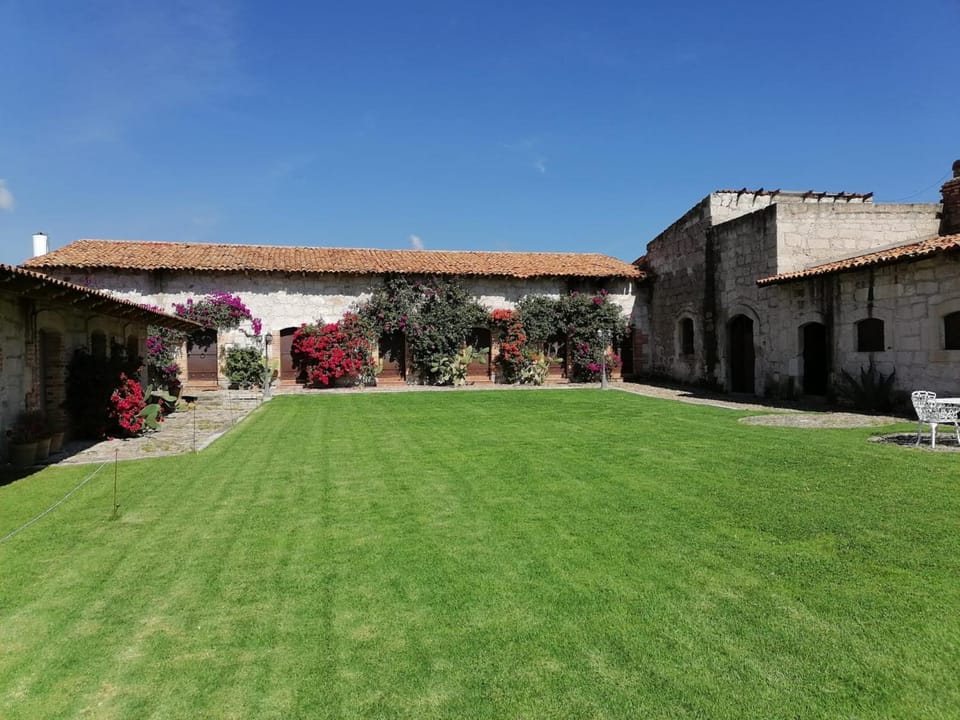 Patio, Day, Garden, Garden view