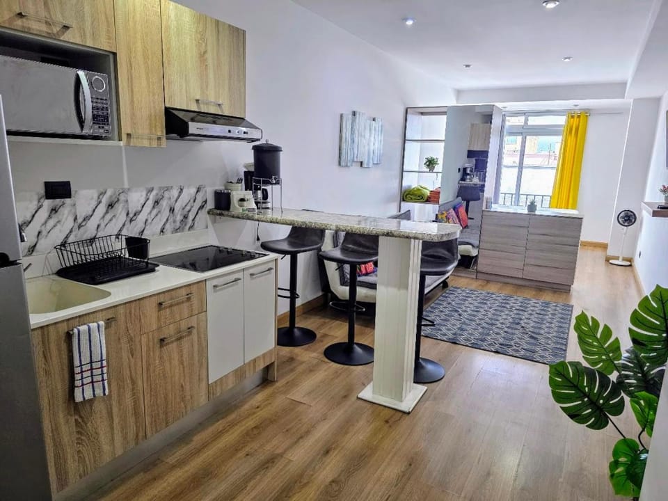Modern Loft 511 in Centro Historico Centro Vivo Apartment in Guatemala City