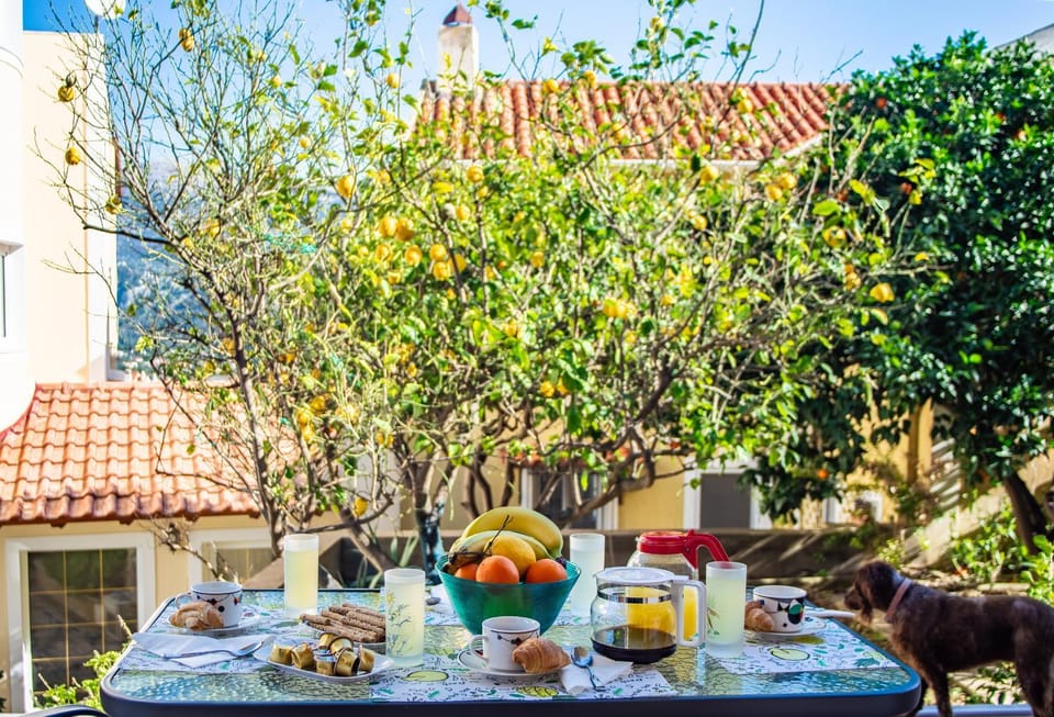 Spring, Day, Garden, Garden, Food and drinks, Dining area, Food, Garden view, Lunch, Dinner, Drinks, Alcoholic drinks