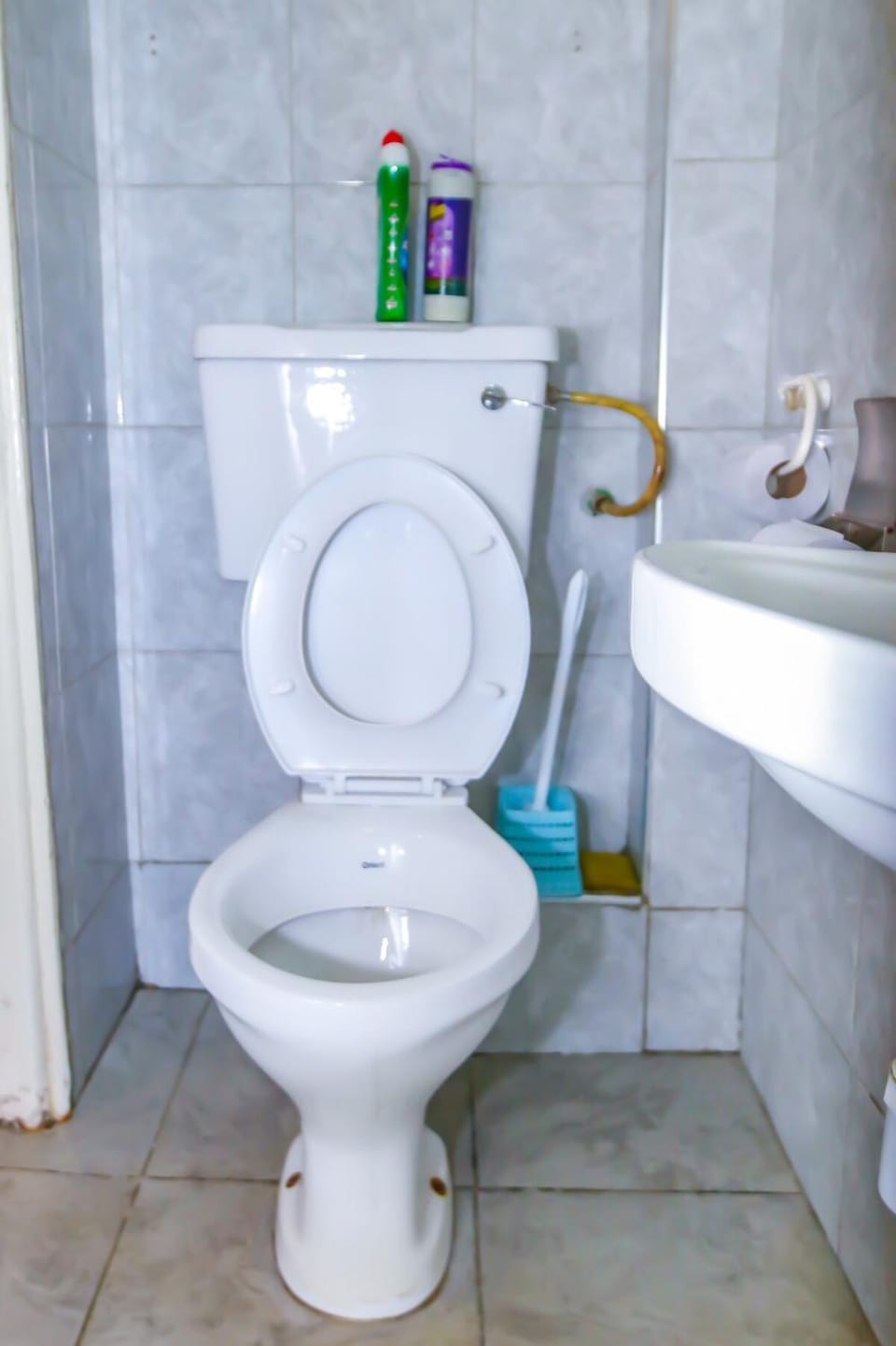 Toilet