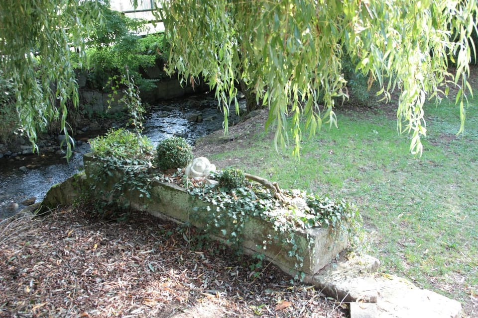Natural landscape, Garden