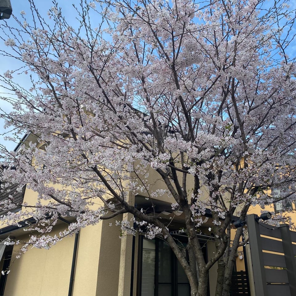 Spring