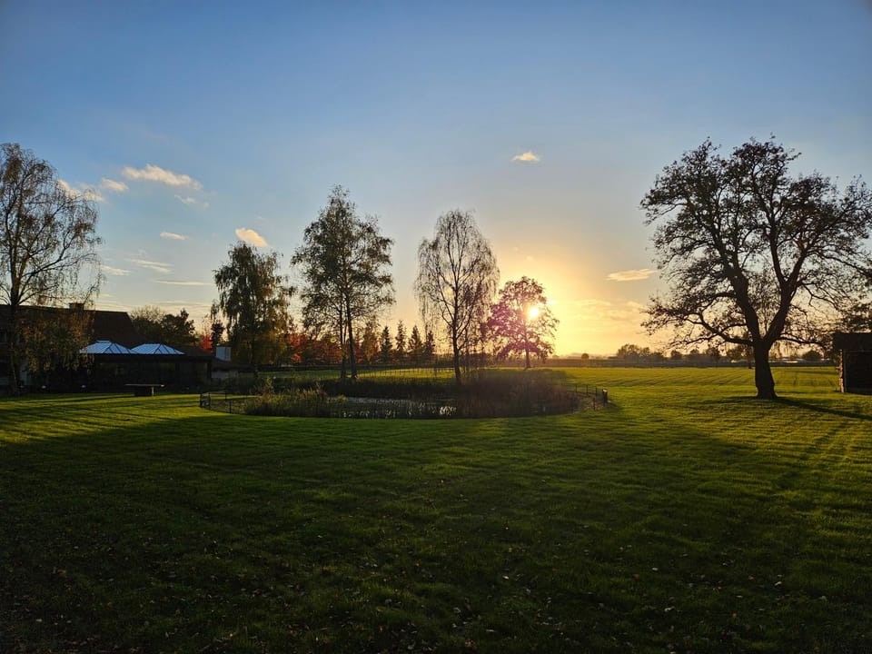 Natural landscape, Garden, Garden view, Sunrise