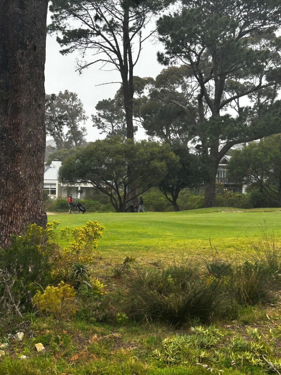 16 on Fernkloof Apartment in Hermanus