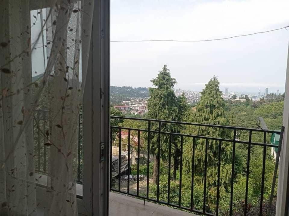 მთის და ზღვის სავანე House in Batumi