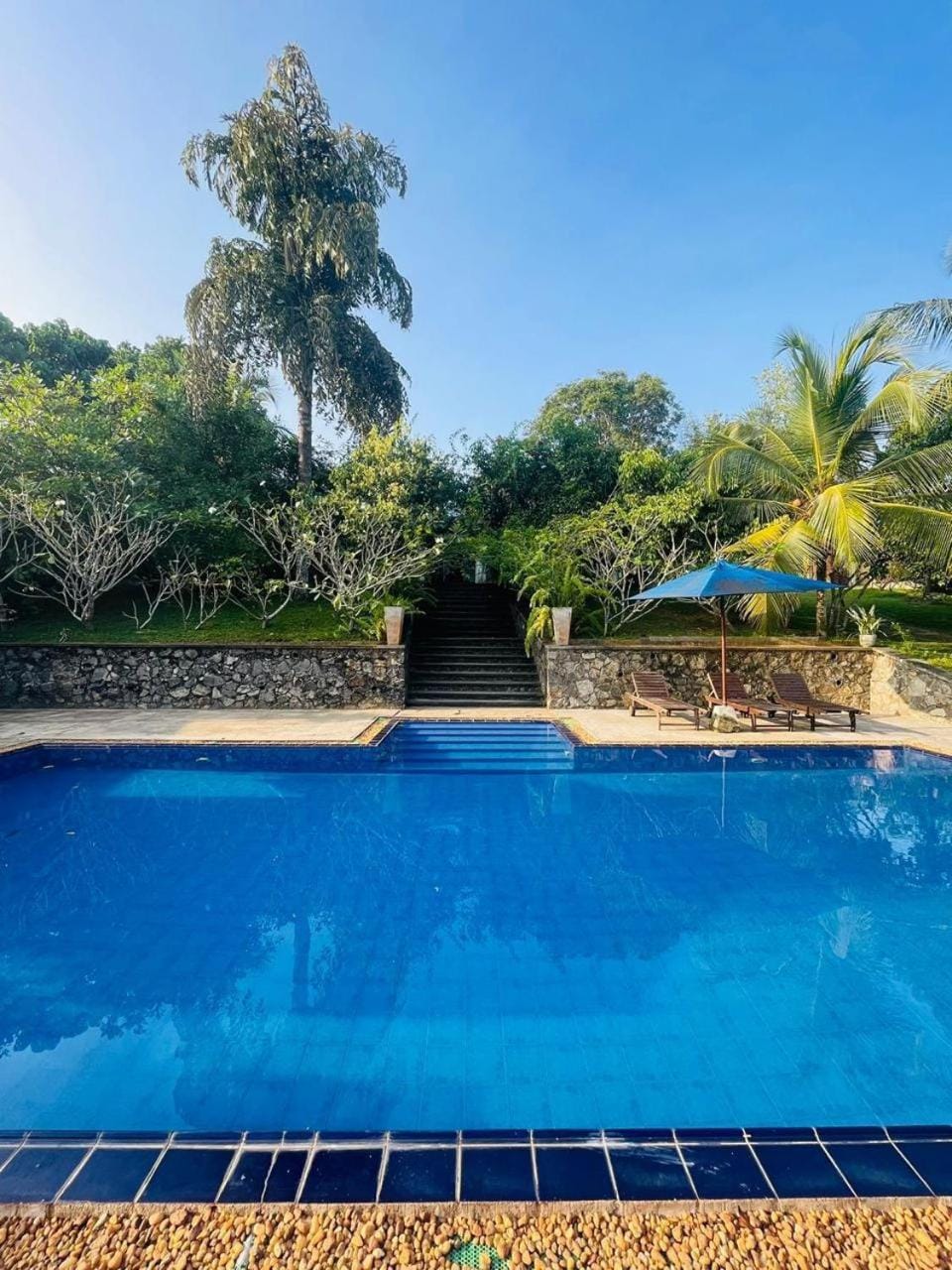 Pool view, Swimming pool