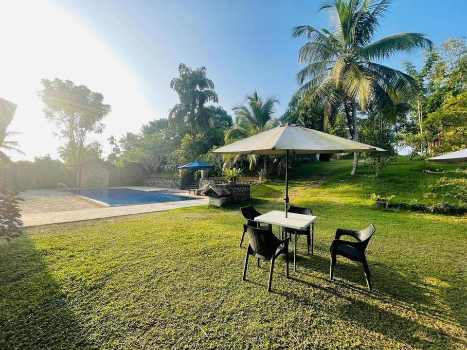 Garden, Garden view, Pool view, Swimming pool