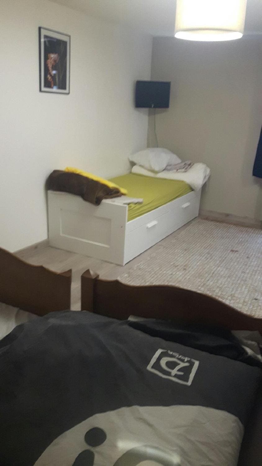 Bed