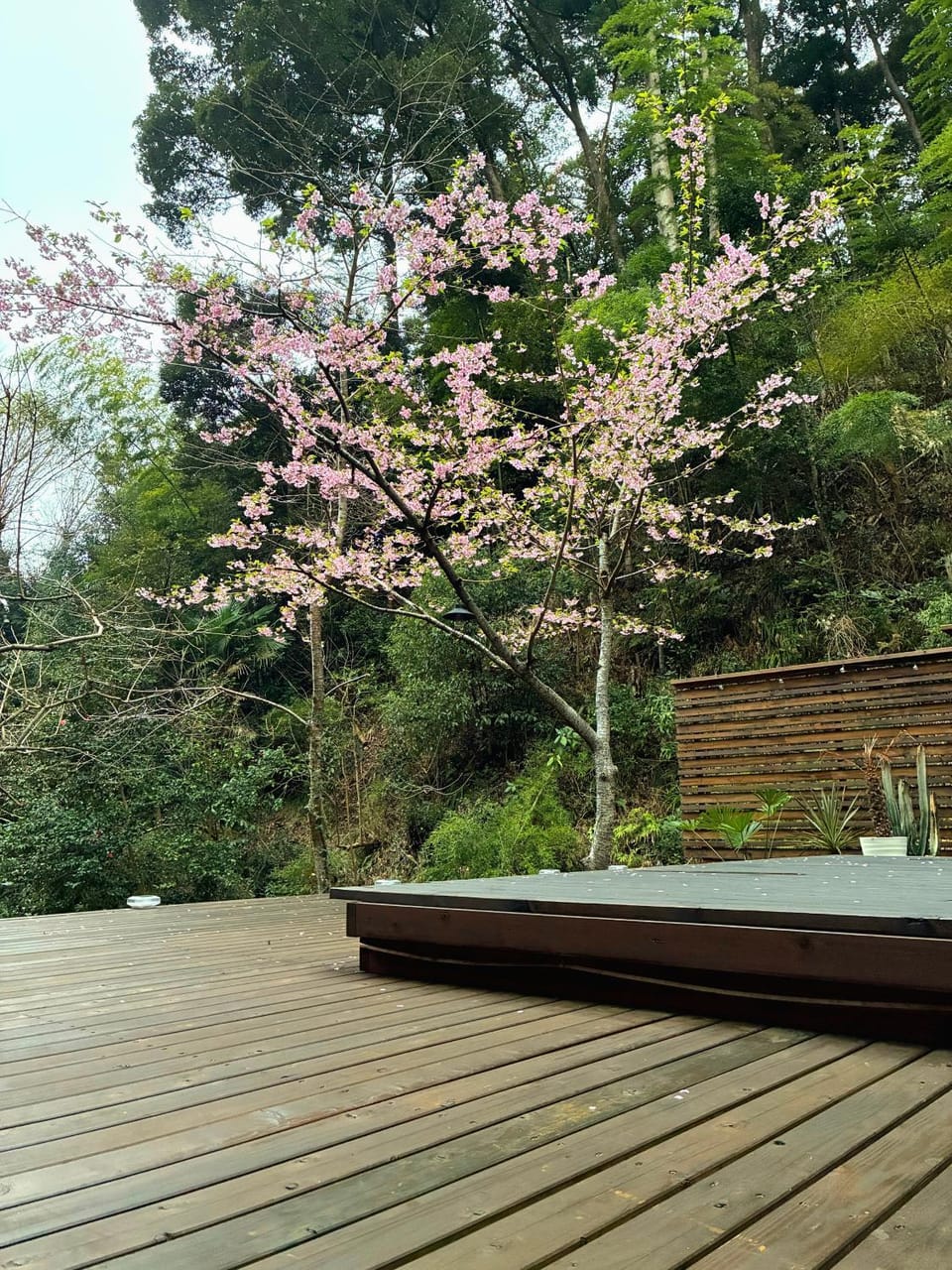vihrea Villa in Chiba Prefecture