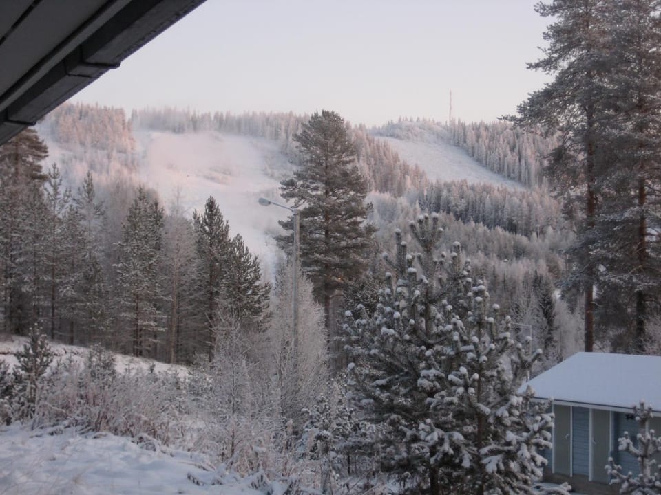 Patio, Day, Natural landscape, Winter, Mountain view