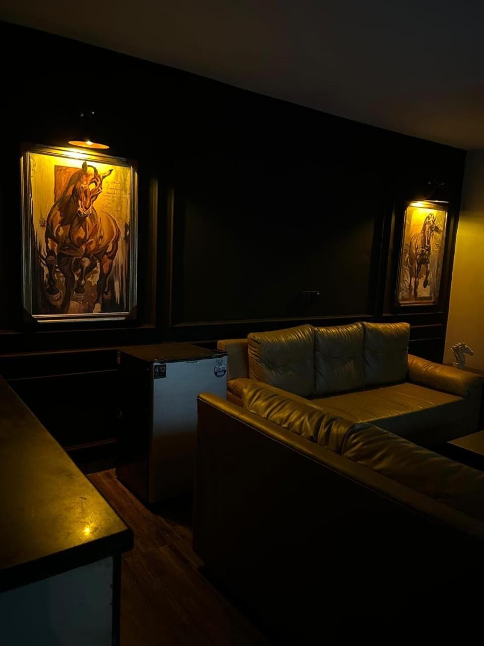 Cineplex Lodges Penthouse Apartment in Islamabad Capital Territory