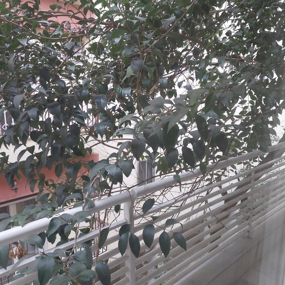 Luxury family house Apartment in Thessaloniki