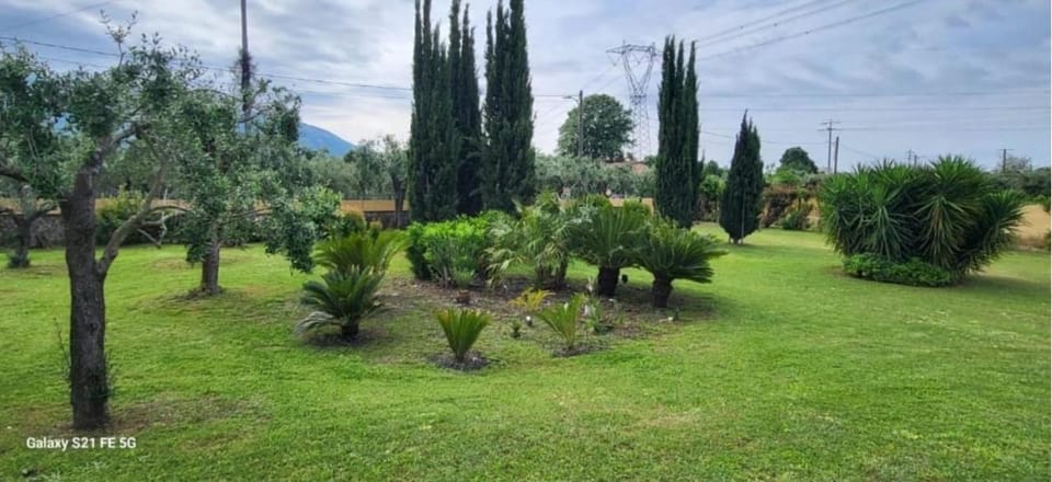 VILLA BICE in Versilia - Piscina Privata - Toscana Villa in Province of Massa and Carrara