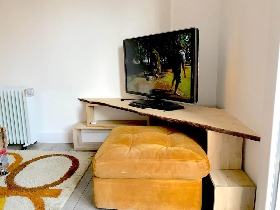 TV and multimedia