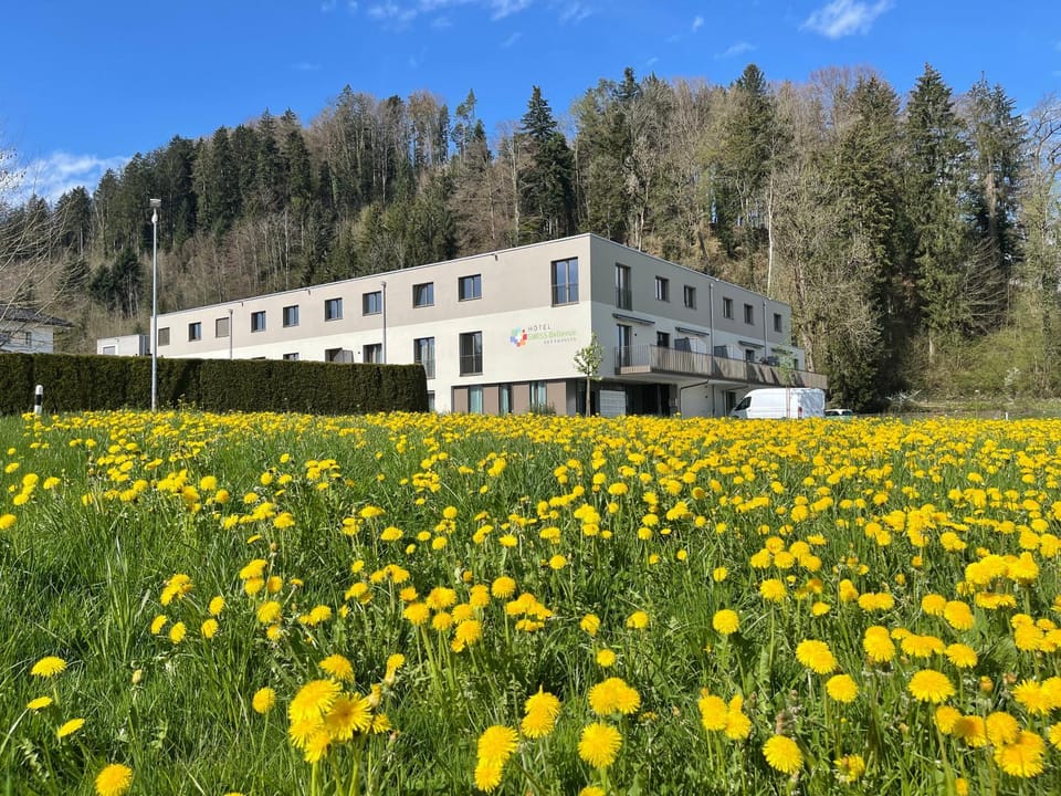 Property building, Spring, Day, Natural landscape, Garden, Garden view, Mountain view