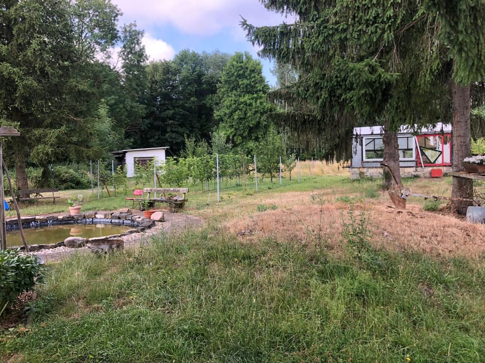 Garden, Garden, Garden view