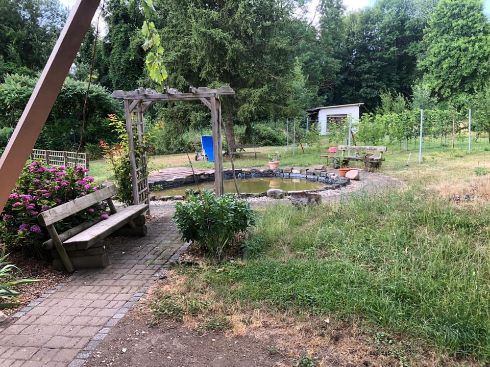 Garden, Garden