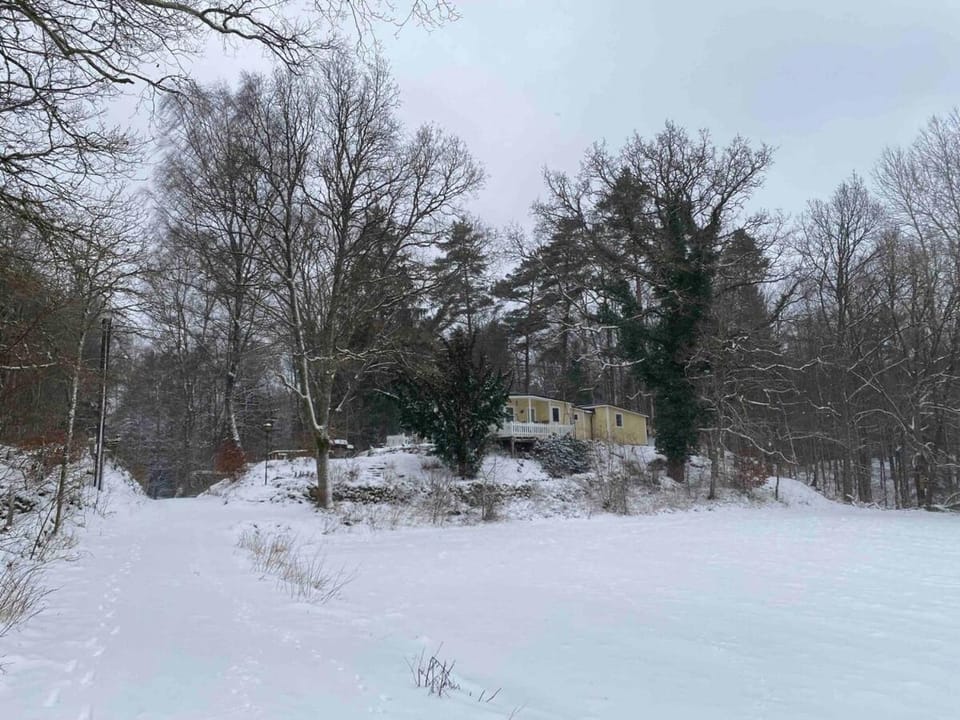 Cosy cabin Cabin in Skåne County