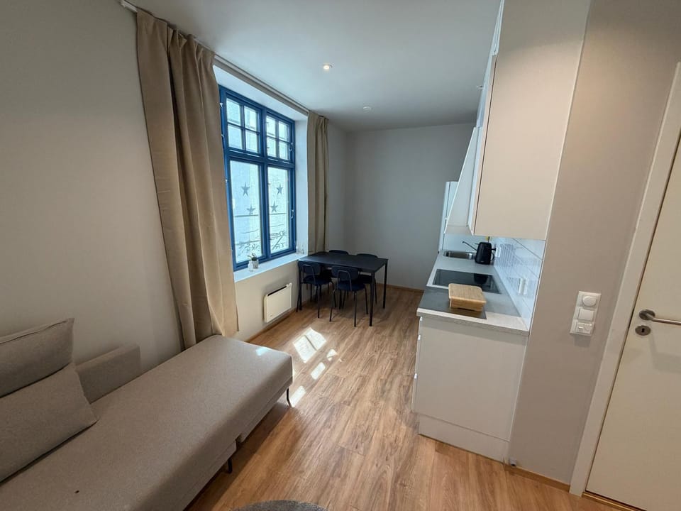 Spacious Retreat Apartment in Oslo