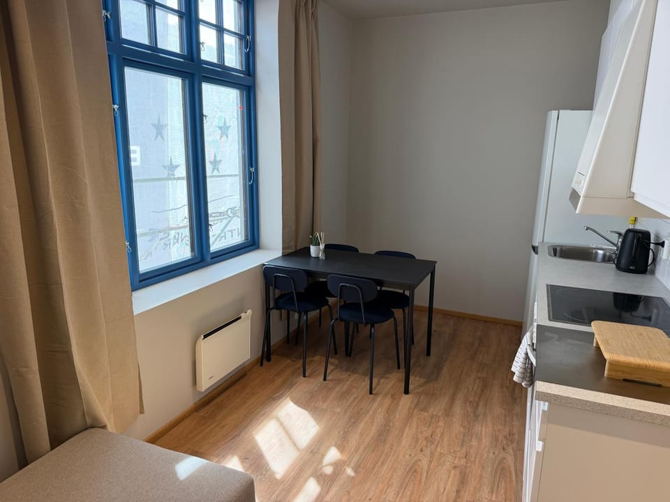 Spacious Retreat Apartment in Oslo