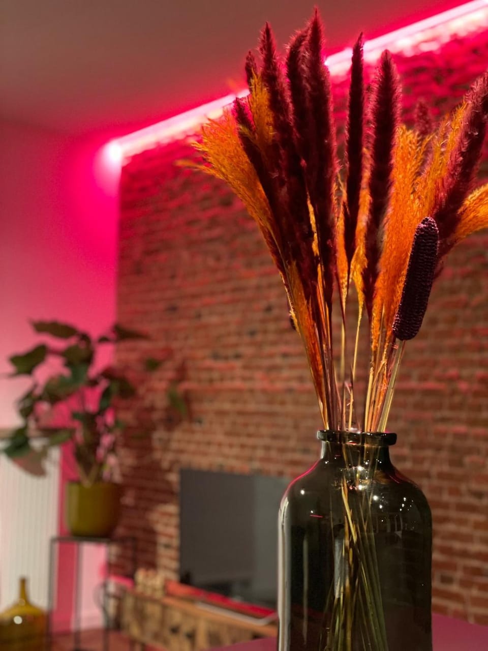 The Green Gatsby II Apartment in Antwerp