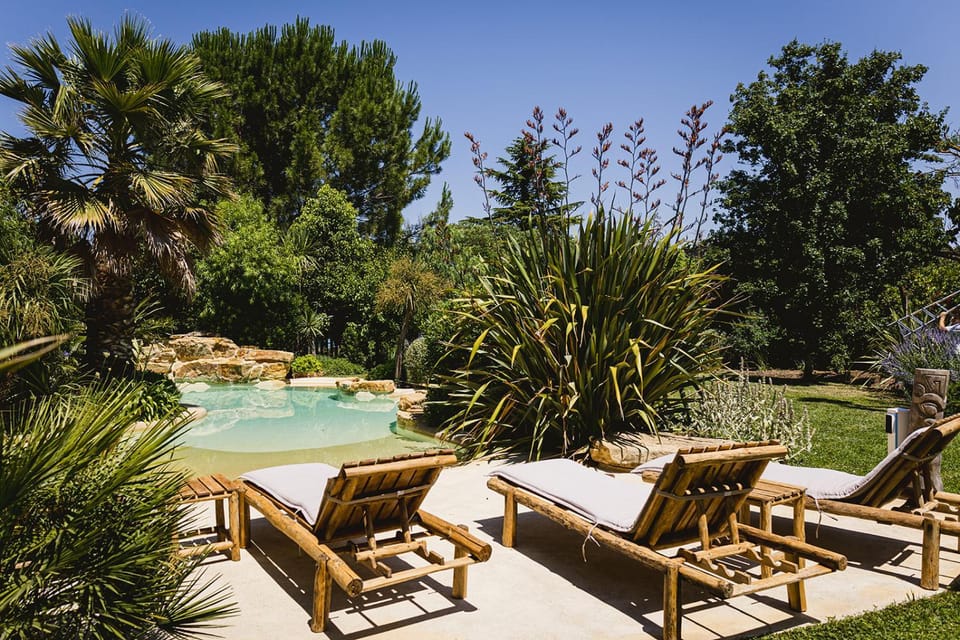 Natural landscape, Garden, Garden view, Pool view, Swimming pool, sunbed