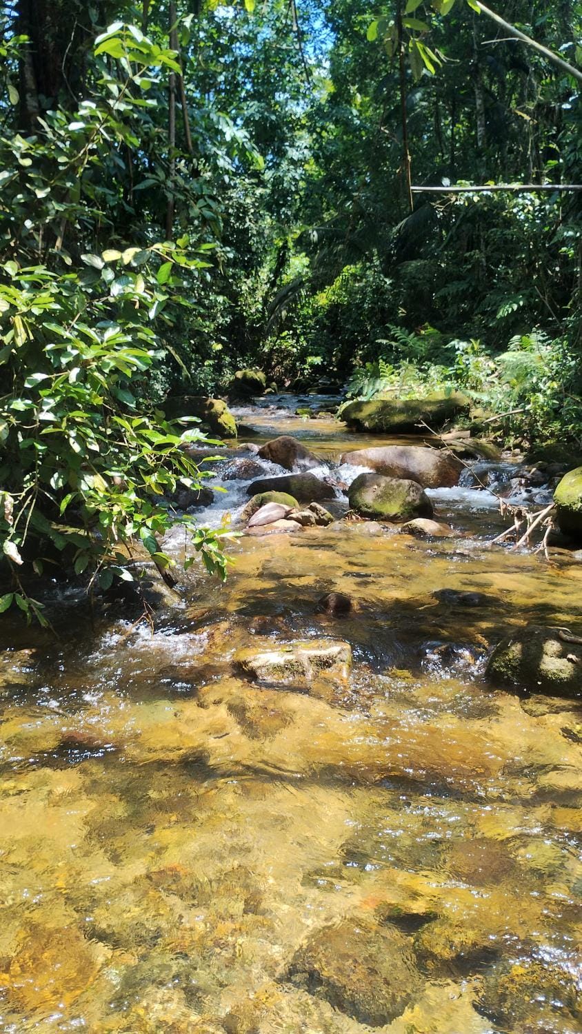 Ubatubambu Campground/ 
RV Resort in Ubatuba