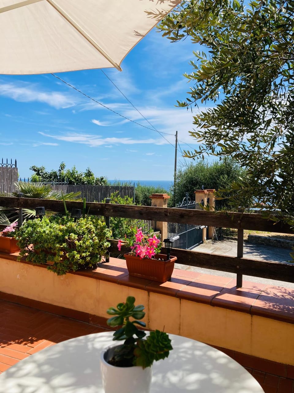Patio, Spring, Day, Natural landscape, Garden, View (from property/room), Balcony/Terrace, Garden view