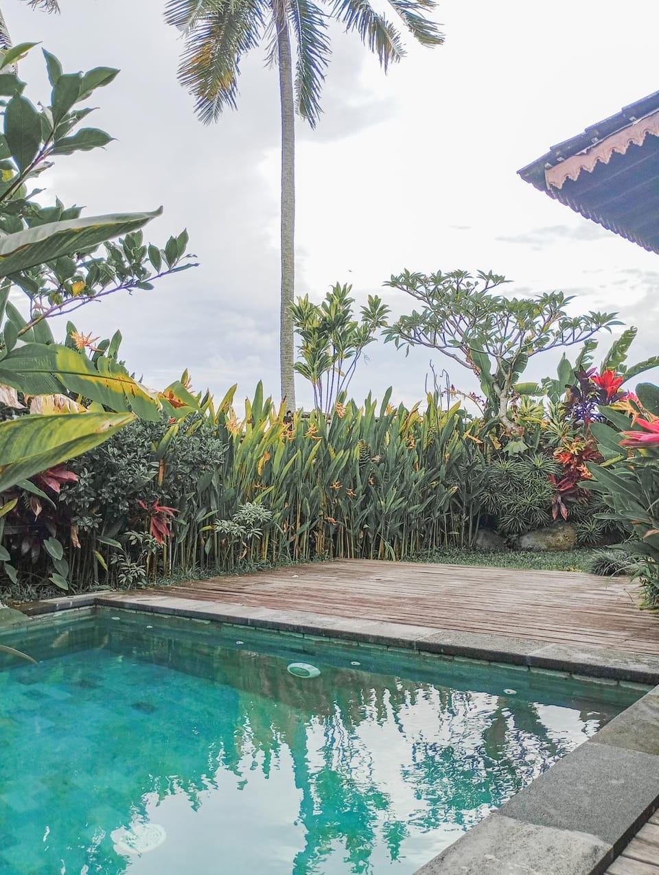 Garden view, Pool view, Swimming pool