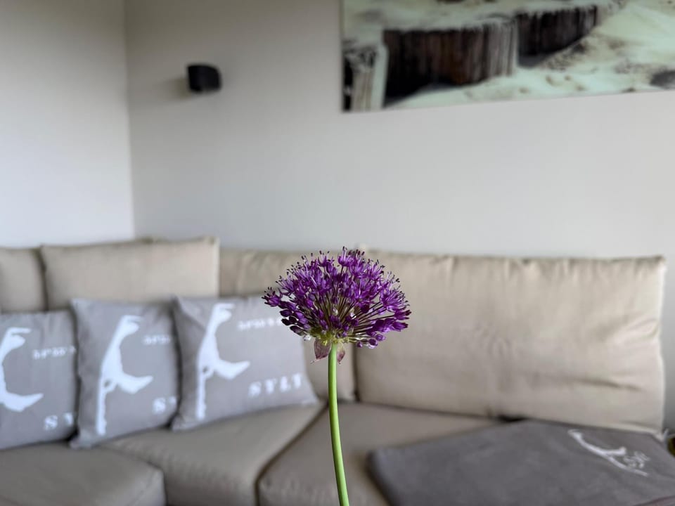 Ferienwohnung Brandenburgerstr 11 Dühne16 mit kleinem Meerblick Apartment in Westerland