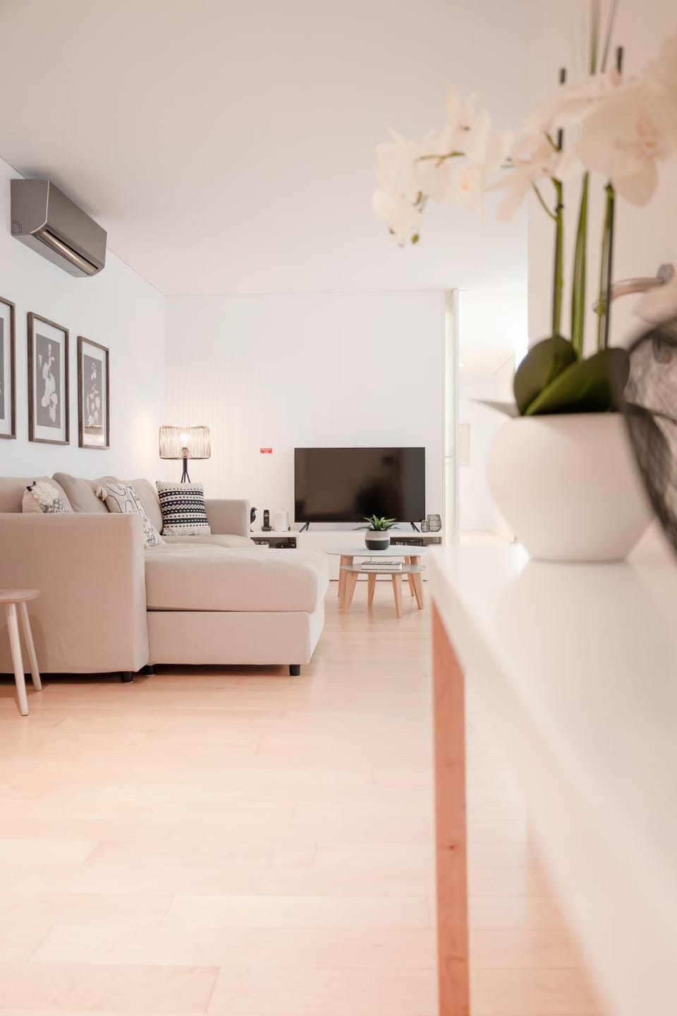 Communal lounge/ TV room, TV and multimedia, Living room, air conditioner