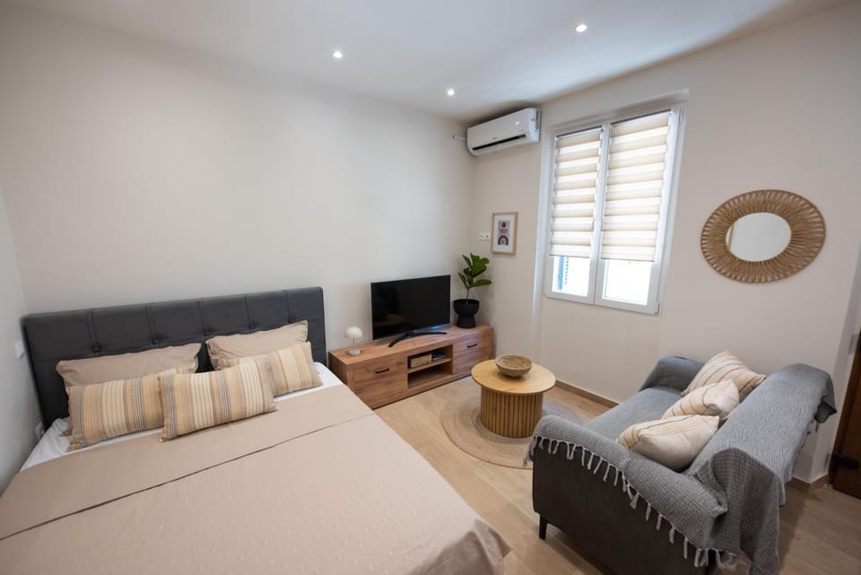 Communal lounge/ TV room, Bed, TV and multimedia, Living room, Seating area, Bedroom, air conditioner