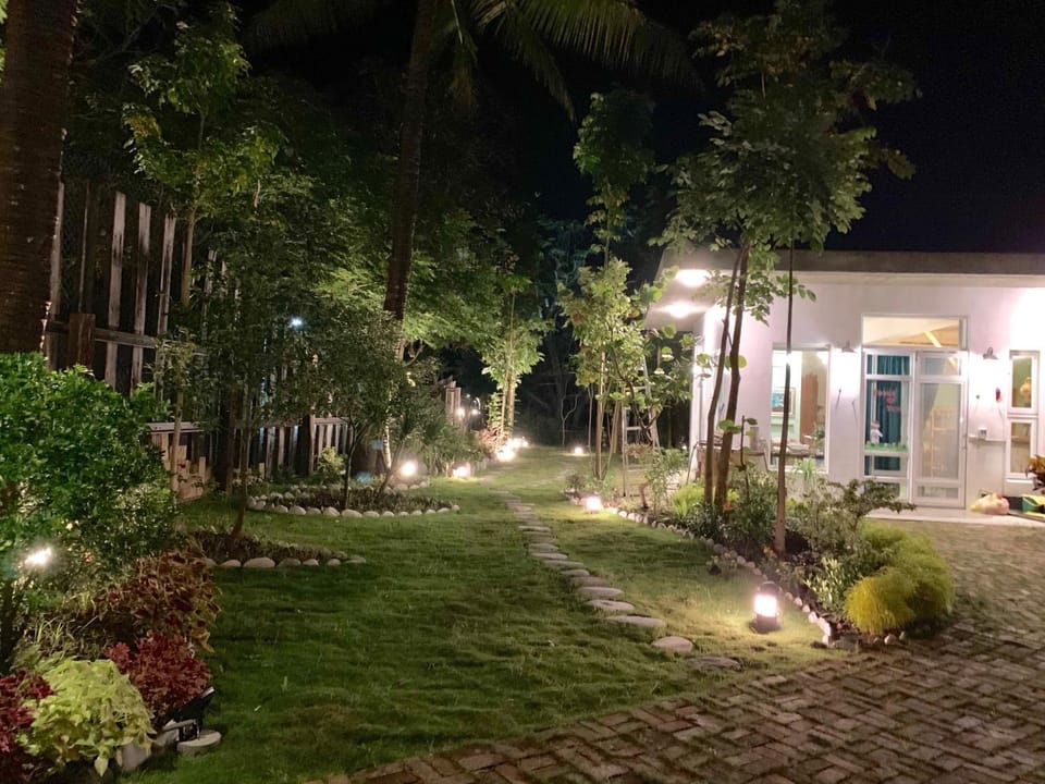 Property building, Night, Garden, Garden view
