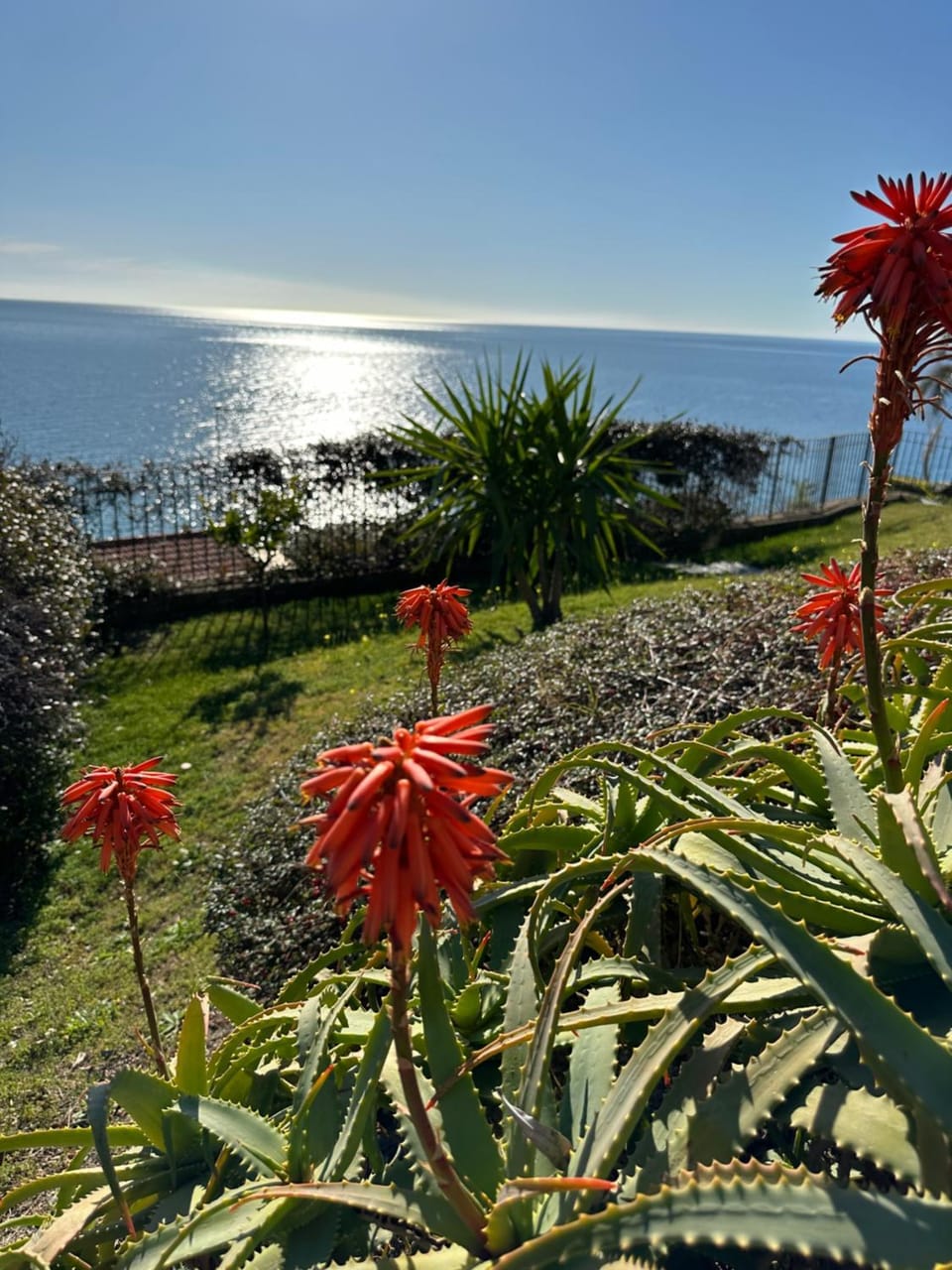 Garden, Garden view, Sea view
