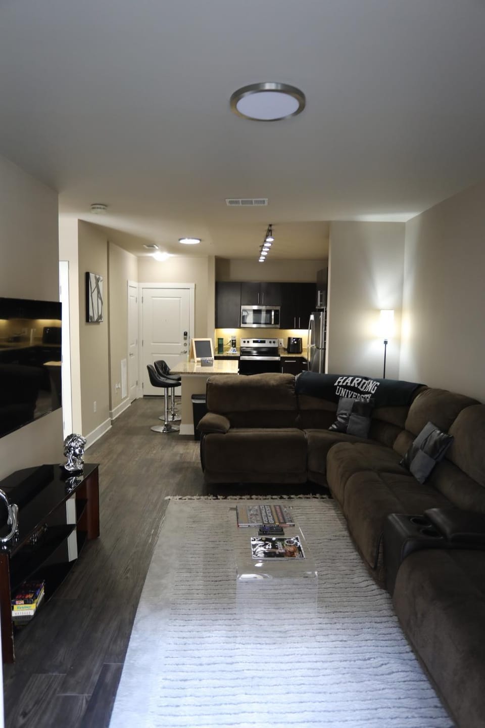 The Hangout ! Apartment in Addison