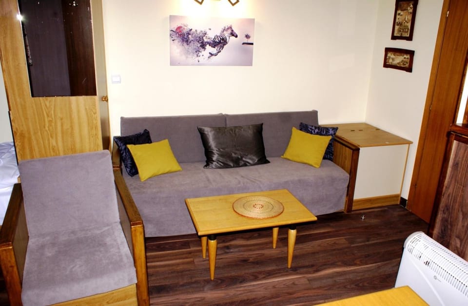 Vila Nikola 202 centar Apartment in Serbia