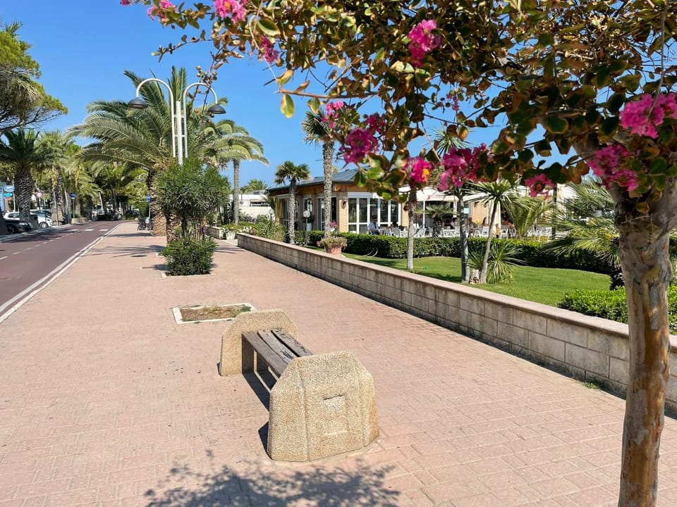 Natural landscape, Garden
