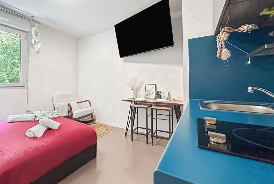 Studio Aux Portes de Lyon Apartment in Caluire-et-Cuire