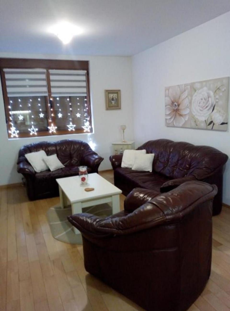 Nektar 88 Lux Apartment in Serbia