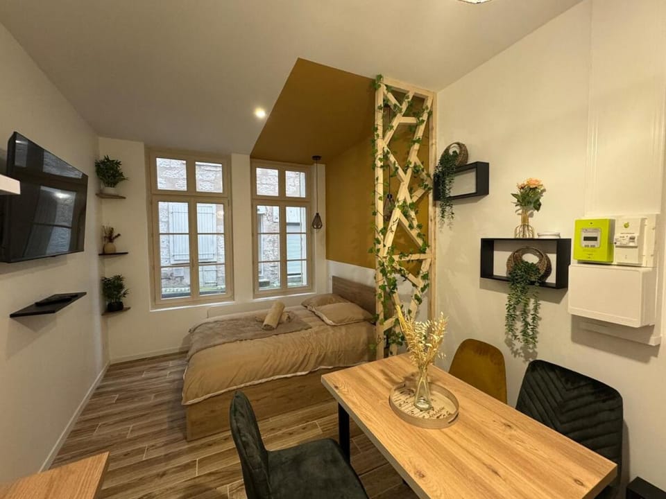 Studio hyper centre le Cosy Apartment in Nouvelle-Aquitaine
