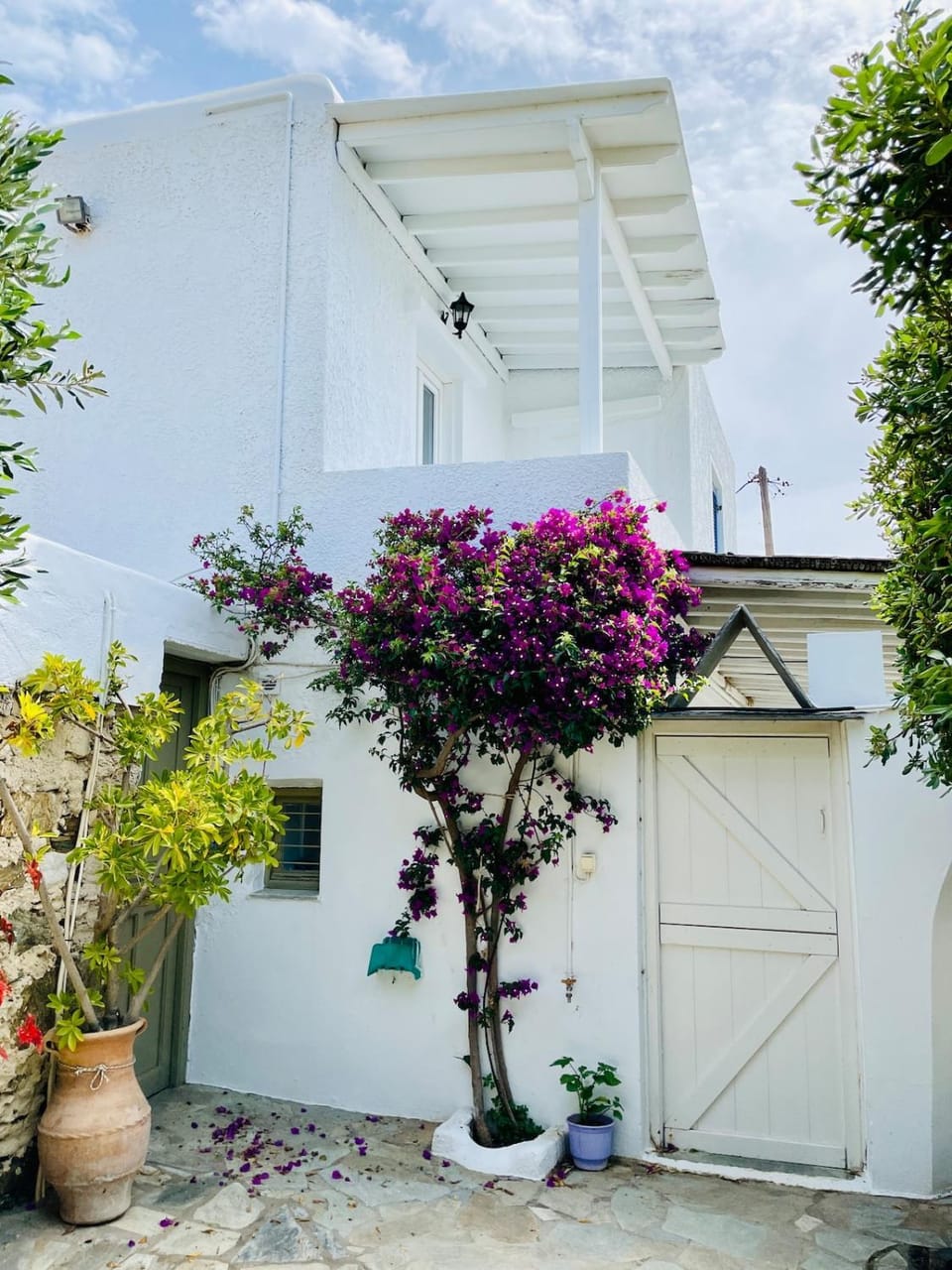 Property building, Garden