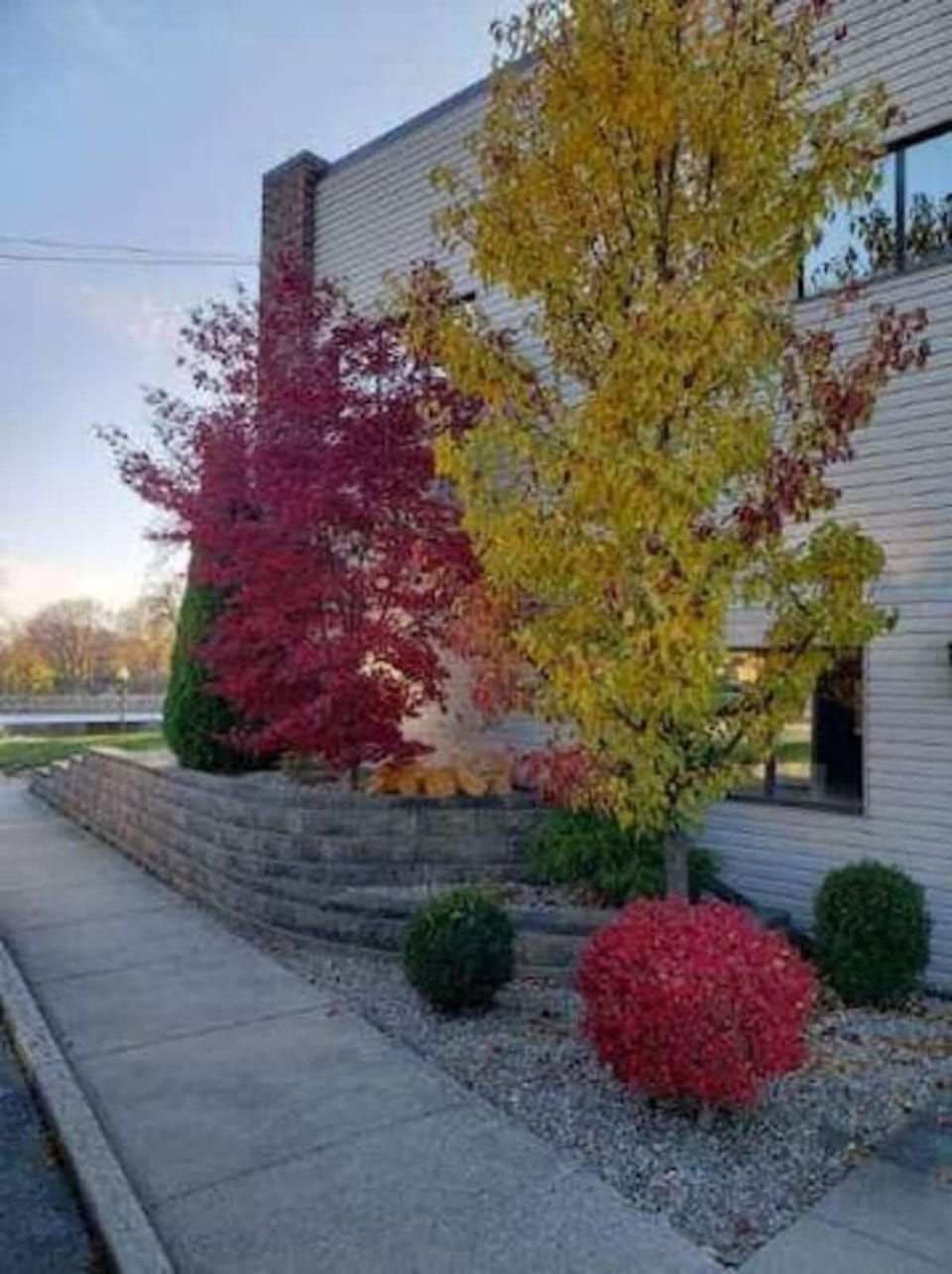 Property building, Garden view