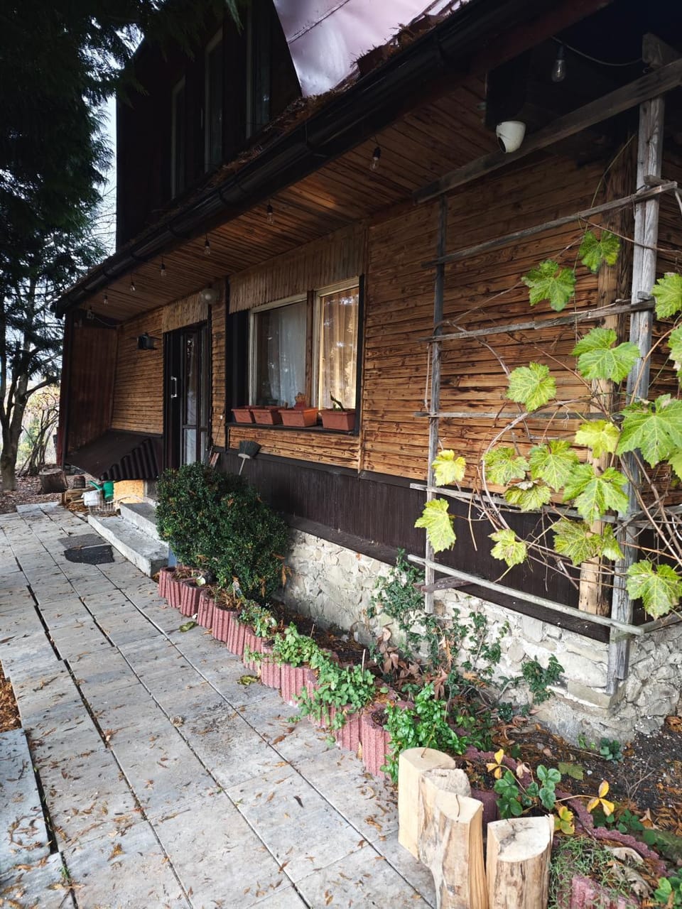 Property building, Garden view