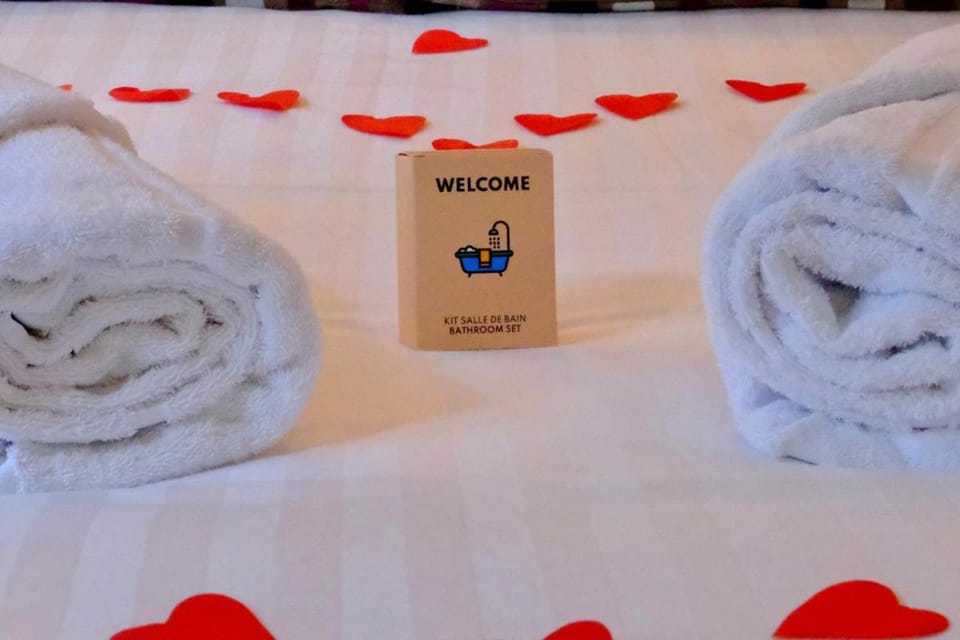 Rouen centre - Welcome to Romain Apartment in Rouen